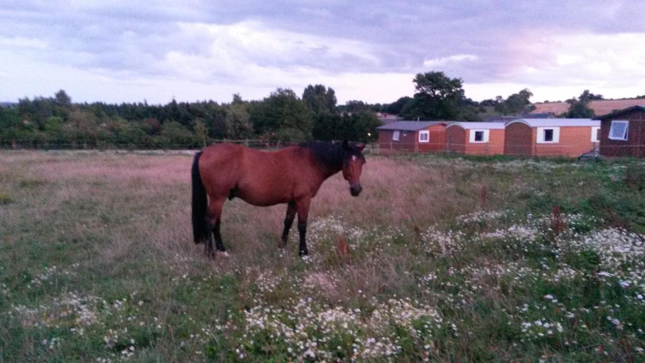 Penzion La Ferme Des Epis Ouffieres Exteriér fotografie