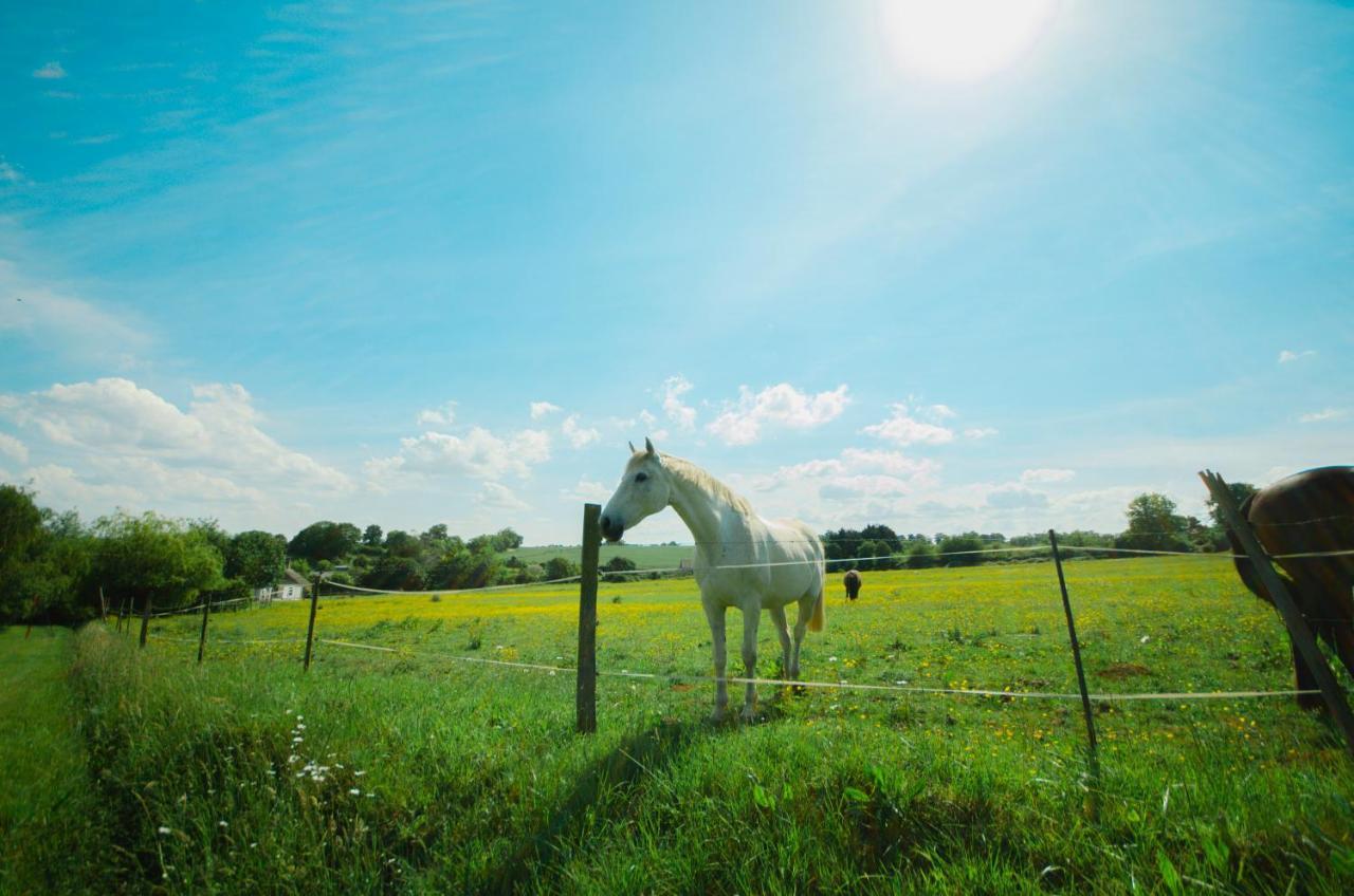 Penzion La Ferme Des Epis Ouffieres Exteriér fotografie