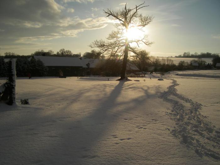 Penzion La Ferme Des Epis Ouffieres Exteriér fotografie